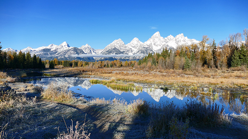 Schwabachers Landing Grand Teton National Park