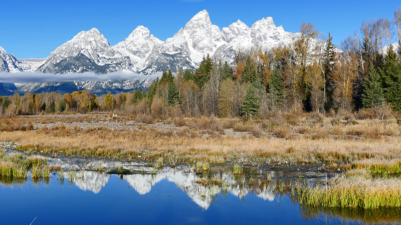 Schwabachers Landing Grand Teton National Park