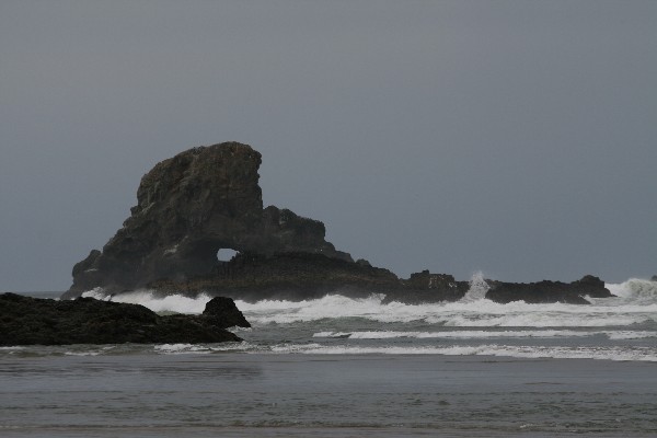 Sea Lion Rock