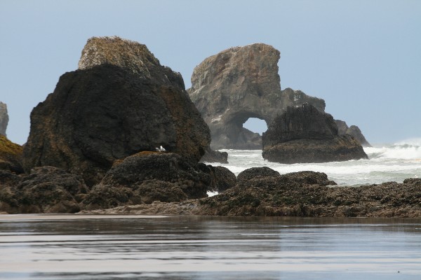 Sea Lion Rock