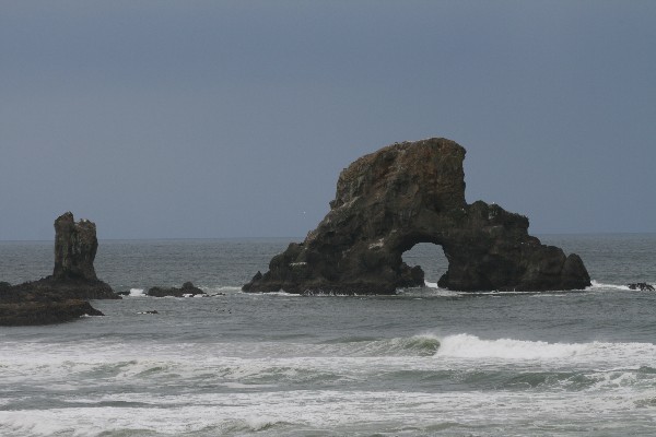 Sea Lion Rock