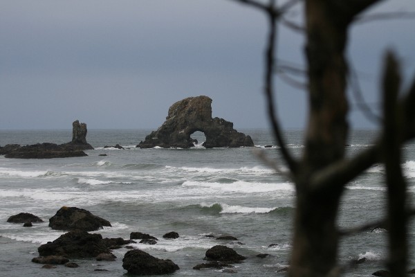 Sea Lion Rock