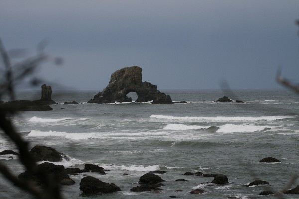 Sea Lion Rock