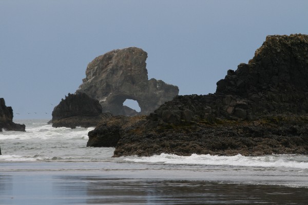 Sea Lion Rock