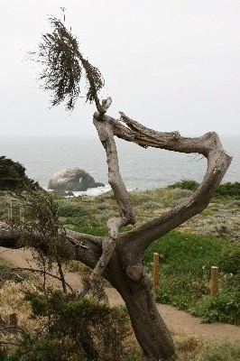 Seal Rocks Arch