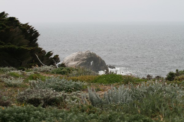 Seal Rocks Arch