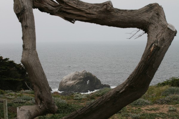 Seal Rocks Arch