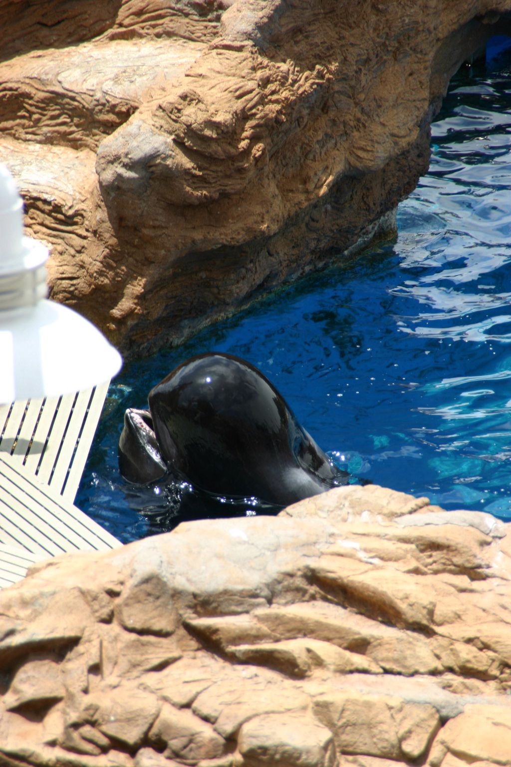 Seaworld