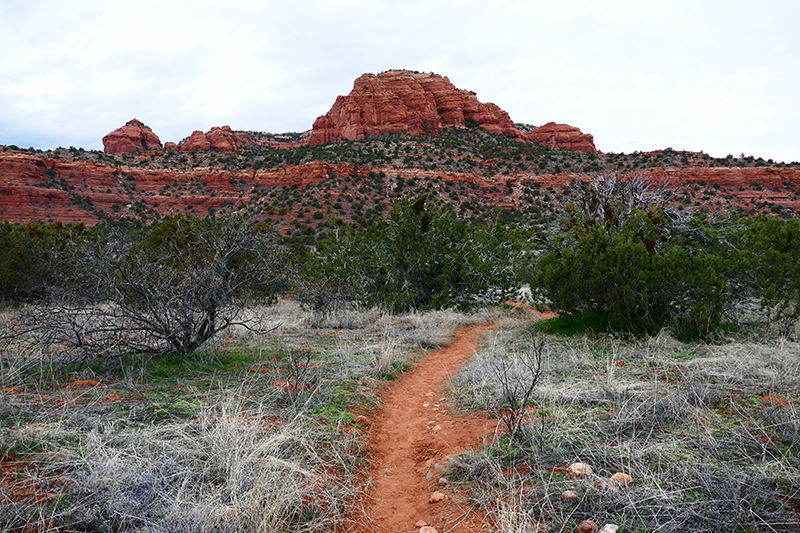 Bear Mountain Trail [Sedona]