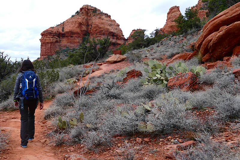 Bear Mountain Trail [Sedona]