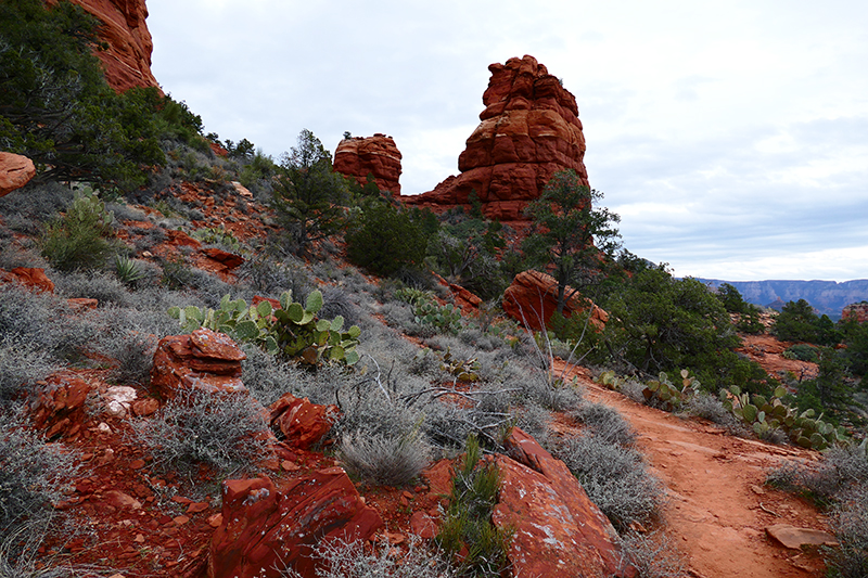 Bear Mountain Trail [Sedona]