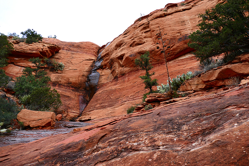 Bear Mountain Trail [Sedona]