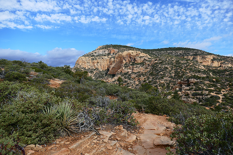 Bear Mountain Trail [Sedona]