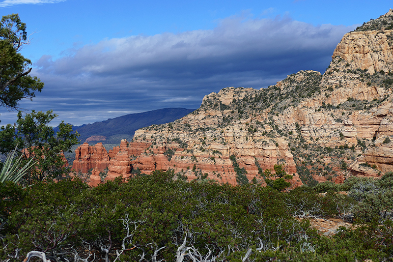 Bear Mountain Trail [Sedona]