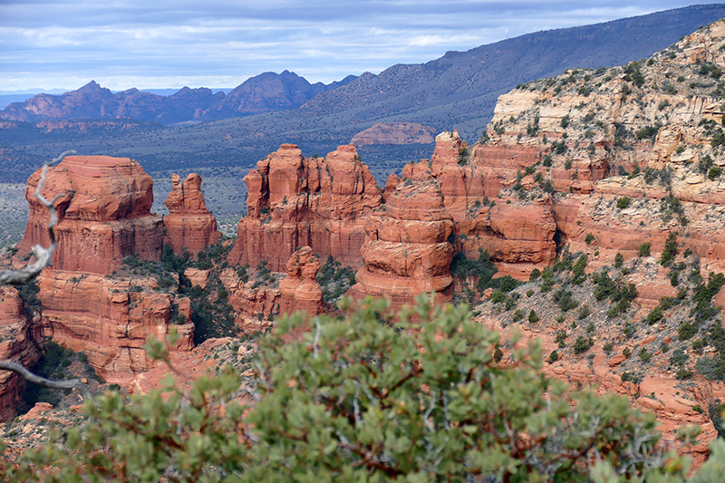 Bear Mountain Trail [Sedona]