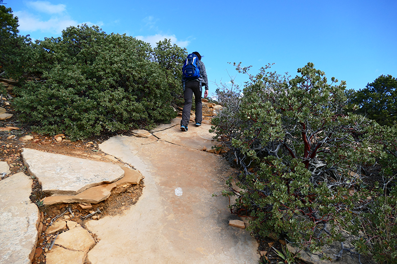 Bear Mountain Trail [Sedona]