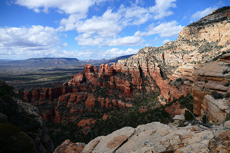 Bear Mountain Trail [Sedona]