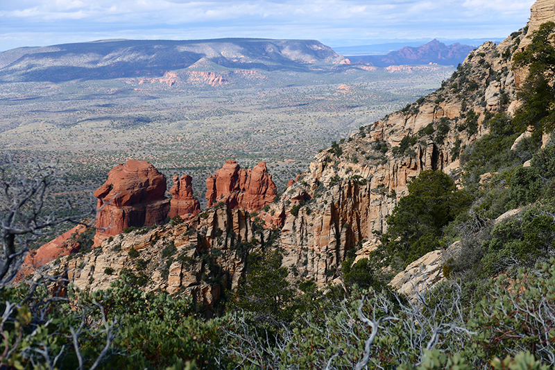 Bear Mountain Trail [Sedona]