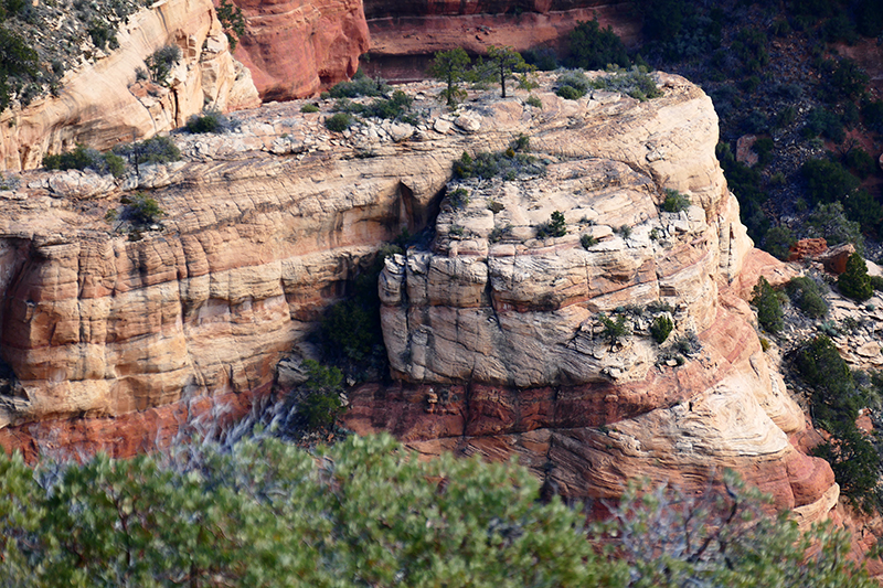 Bear Mountain Trail [Sedona]