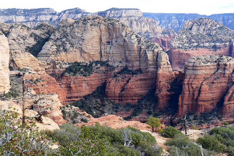 Bear Mountain Trail [Sedona]