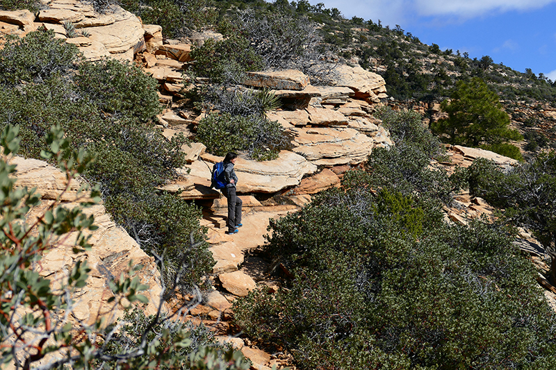 Bear Mountain Trail [Sedona]