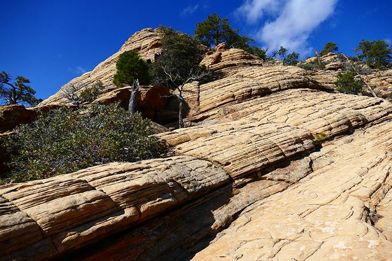 Bear Mountain Trail [Sedona]