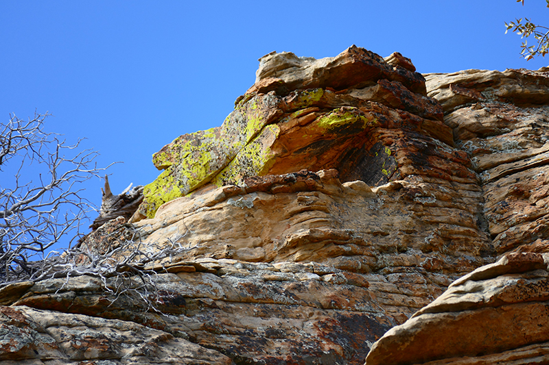 Bear Mountain Trail [Sedona]