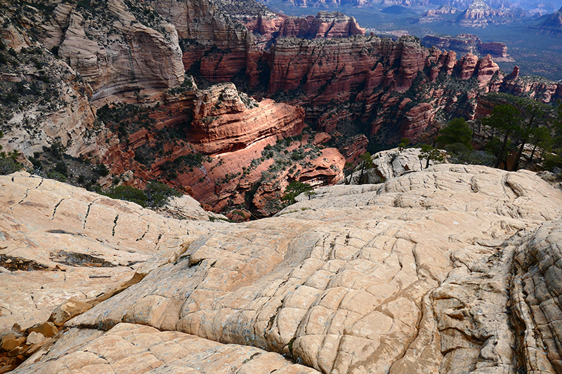 Bear Mountain Trail [Sedona]