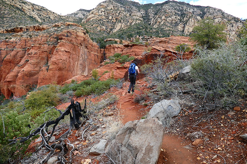 Brins Mesa Trail [Sedona]