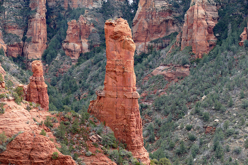 Brins Mesa Trail [Sedona]