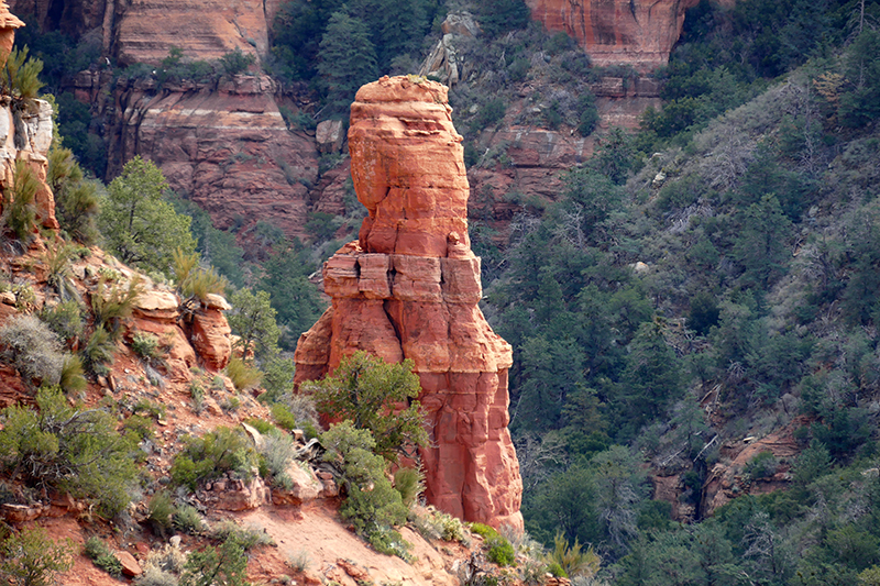 Brins Mesa Trail [Sedona]