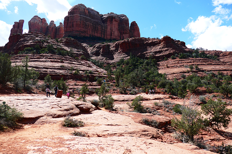 Cathedral Rock Trail [Sedona]