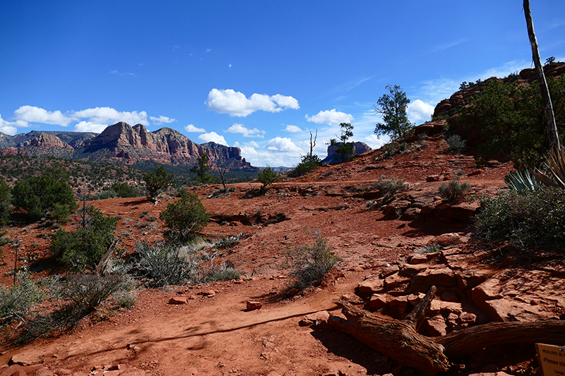 Cathedral Rock Trail [Sedona]