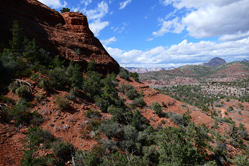 Cathedral Rock Trail [Sedona]