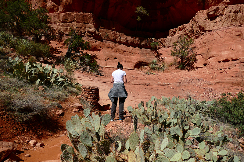 Cathedral Rock Trail [Sedona]