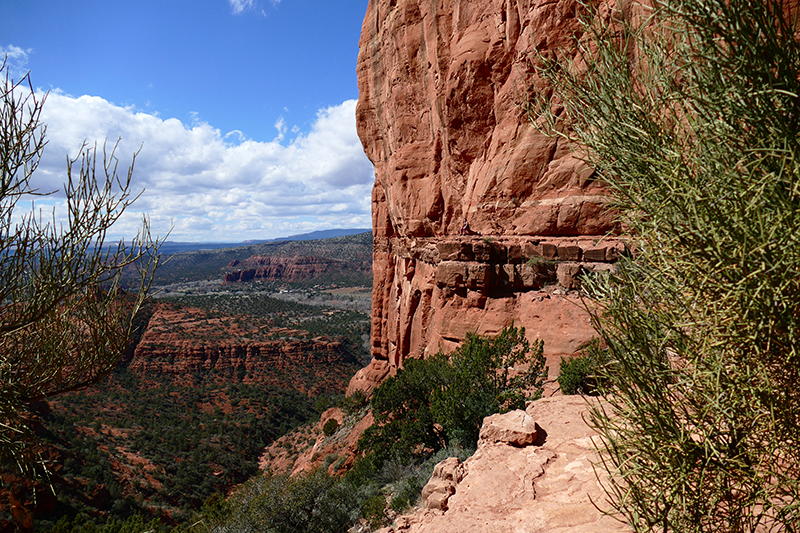 Cathedral Rock Trail [Sedona]