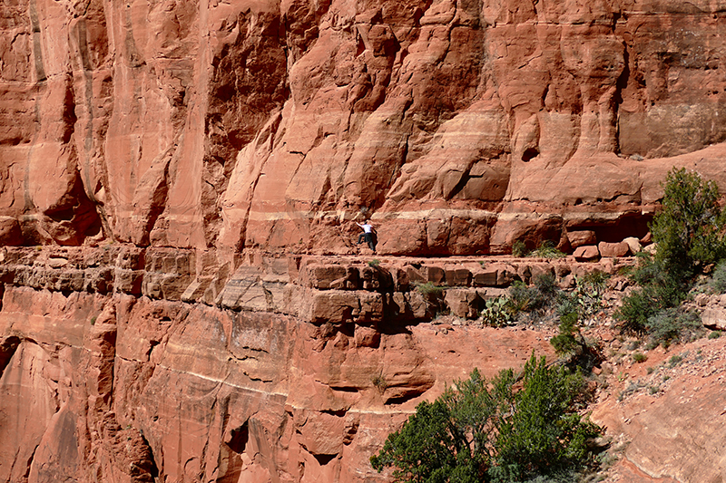 Cathedral Rock Trail [Sedona]