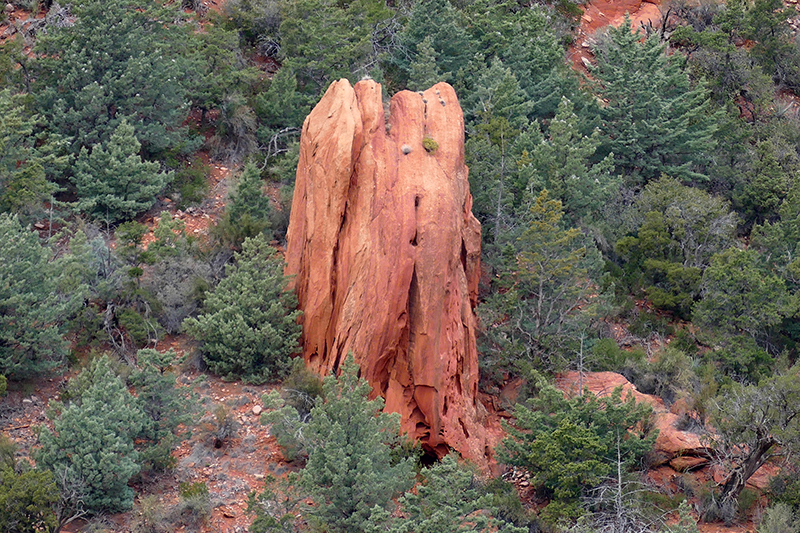 Cibola Pass Trail - Jordan Trail [Sedona]