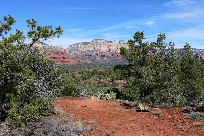 Girdner Trail - Two Fence Trail - Lizard Head Trail - Chuck Wagon Trail [Sedona]