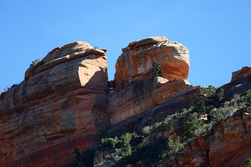 Girdner Trail - Two Fence Trail - Lizard Head Trail - Chuck Wagon Trail [Sedona]