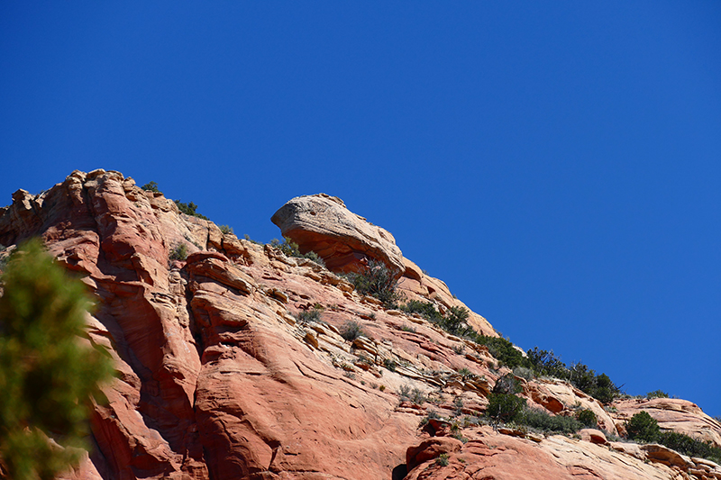 Lizard Head Trail - Chimney Rock Trail [Sedona]