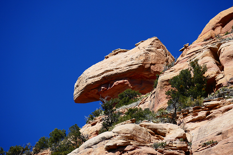 Lizard Head Trail - Chimney Rock Trail [Sedona]