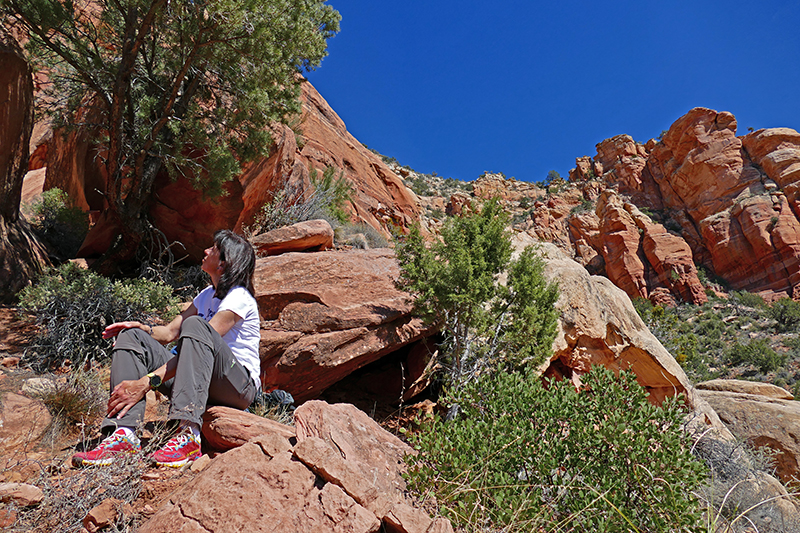 Lizard Head Trail - Chimney Rock Trail [Sedona]