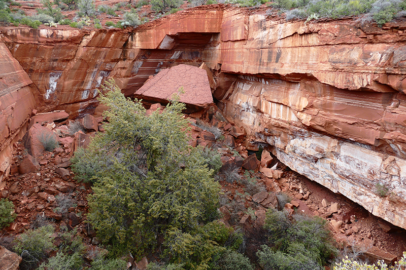 Soldier Pass Trail [Sedona]