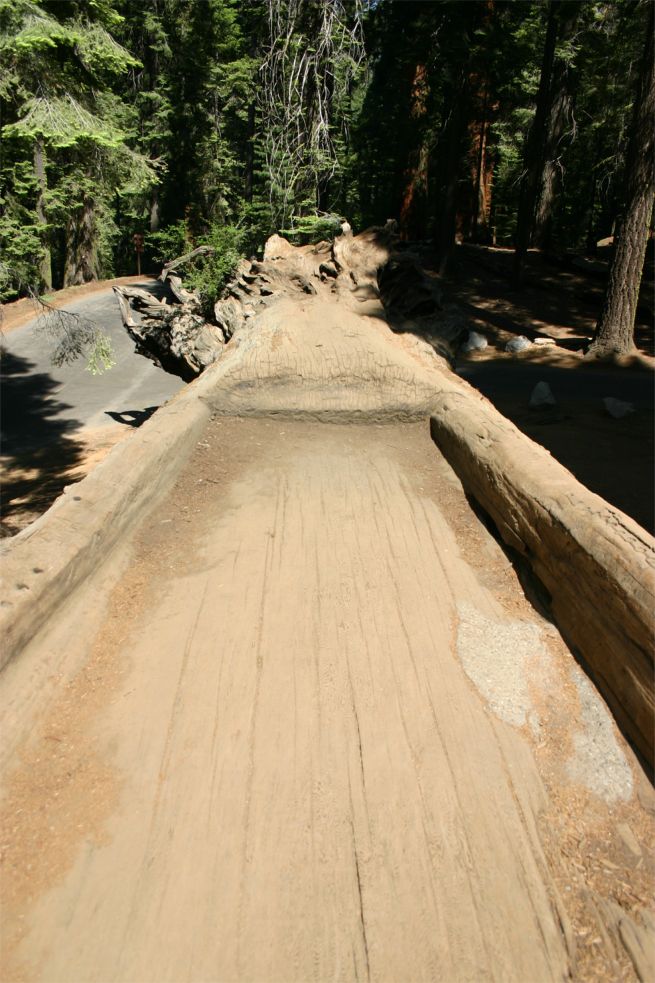 Sequoia National Park