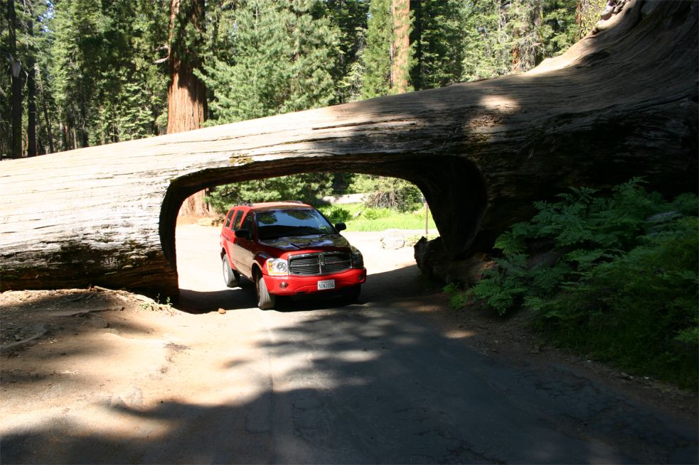 Sequoia National Park