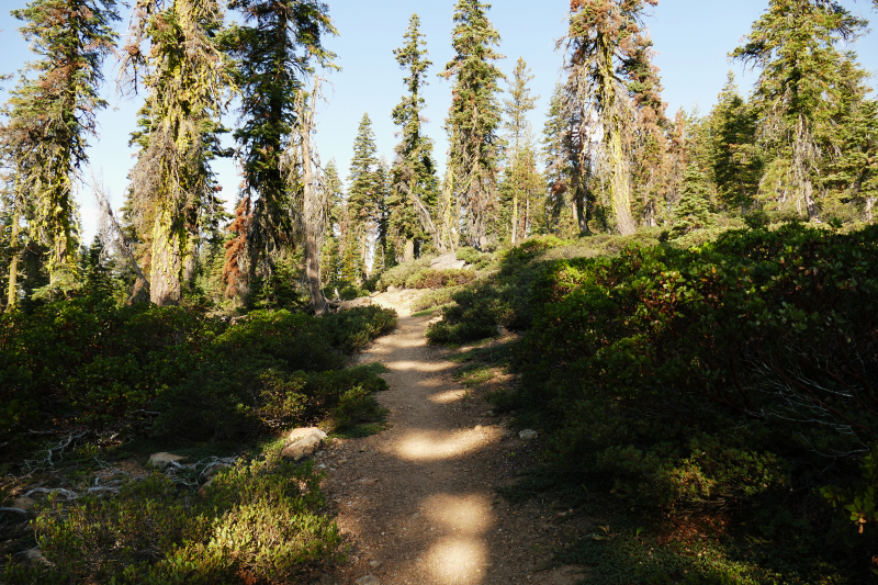 Seven Lakes Basin [Shasta Trinity National Forest]