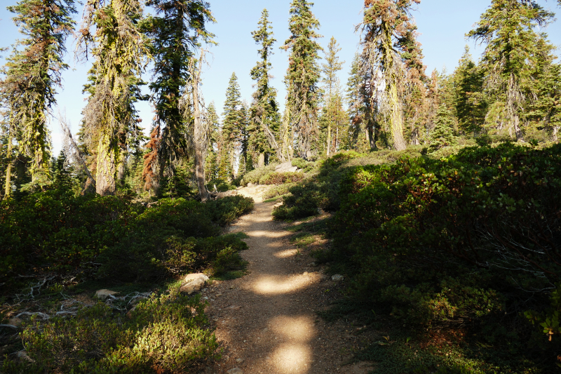 Seven Lakes Basin [Shasta Trinity National Forest]