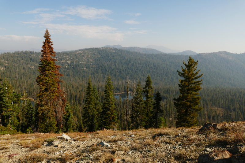 Bild Seven Lakes Basin [Shasta Trinity National Forest]