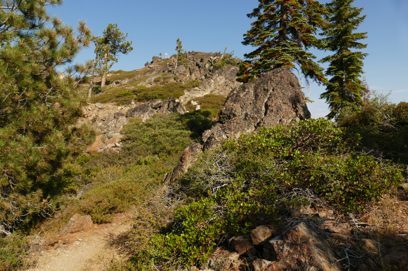 Seven Lakes Basin [Shasta Trinity National Forest]